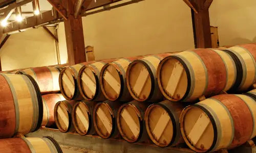 Rows of oak wine barrels stacked in a traditional winery cellar for aging wine.