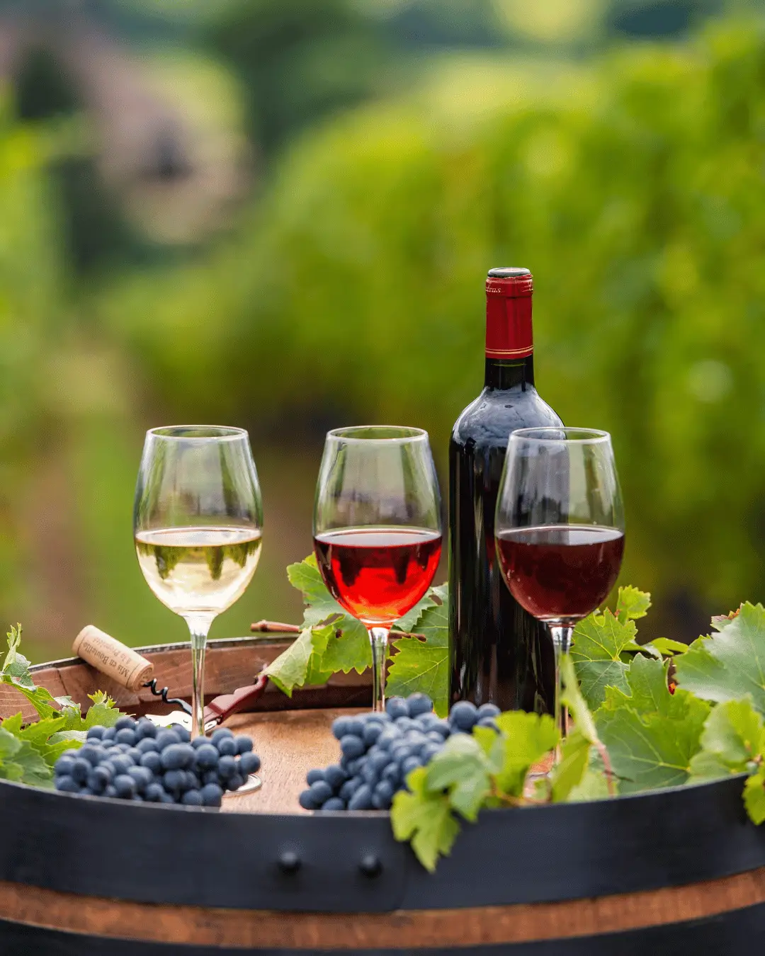 Assortment of red, white, and rosé wines in glasses with a bottle and fresh grapes on a barrel in a vineyard.